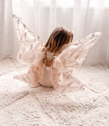 Twinkle Fairy - Wings, Headband & Wand